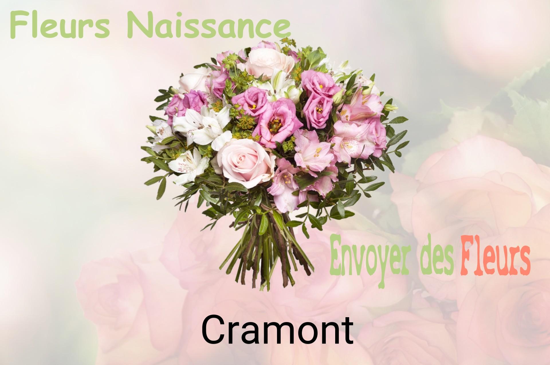 Bouquet de fleurs de naissance livré à Cramont
